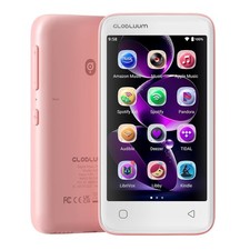 Portable MP3 Player 160gb FM